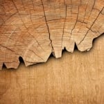 Cashmere Wood